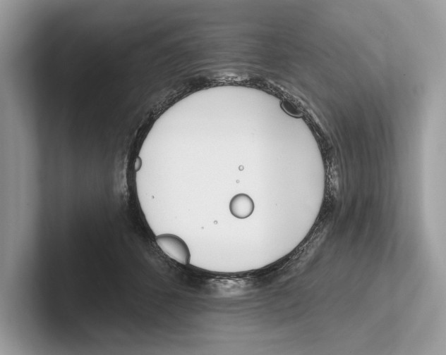 X0000100910512200807220953