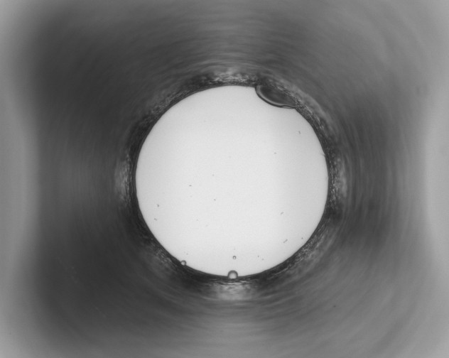 X0000100910513200807220953