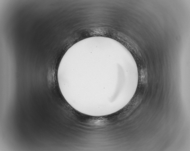 X0000100910514200807220953