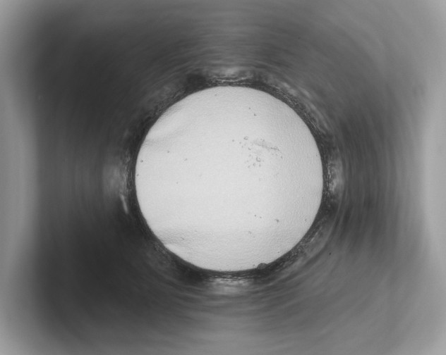 X0000100910515200807220953