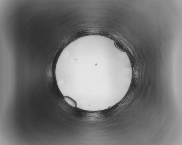 X0000100910516200807220953