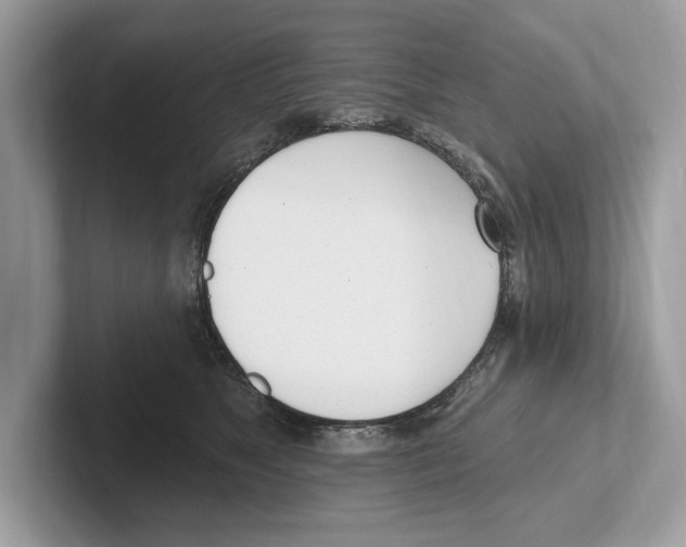 X0000100910517200807220953