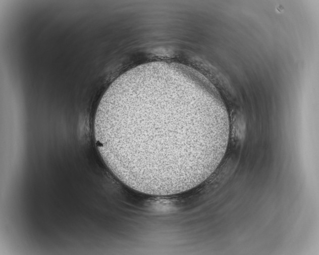 X0000100910518200807220953