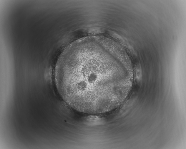 X0000100910519200807220953