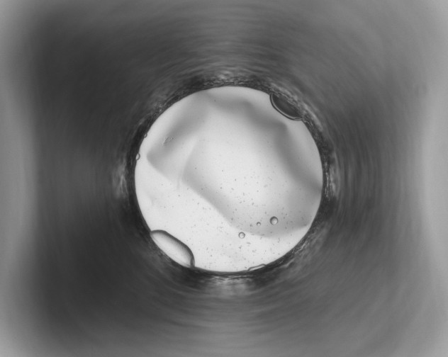 X0000100910520200807220953