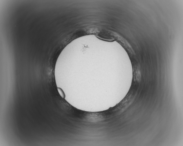 X0000100910521200807220953