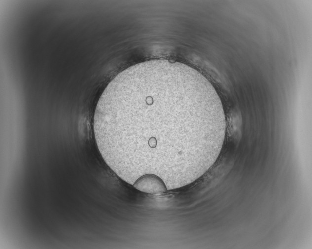 X0000100910522200807220953