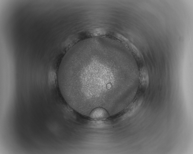 X0000100910523200807220953