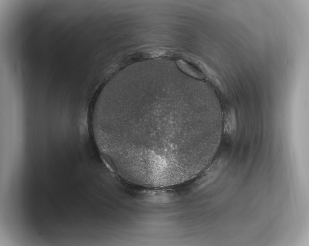 X0000100910524200807220953