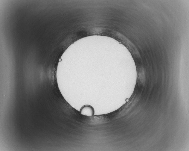 X0000100910525200807220953