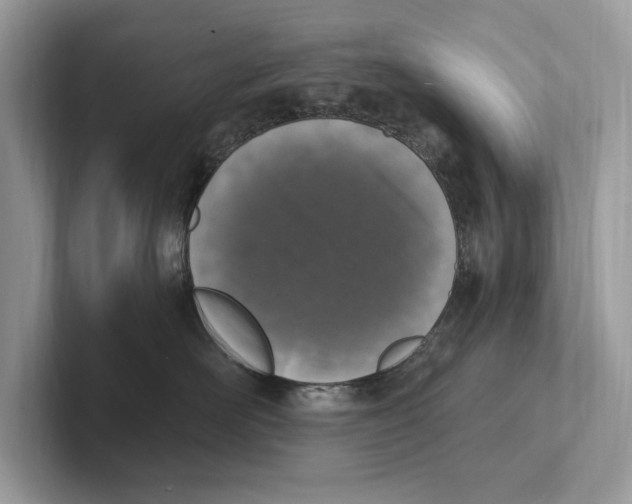 X0000100910526200807220953