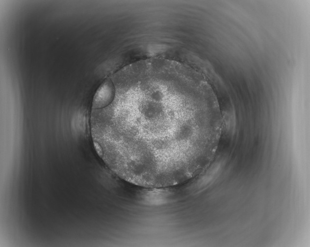 X0000100910527200807220953