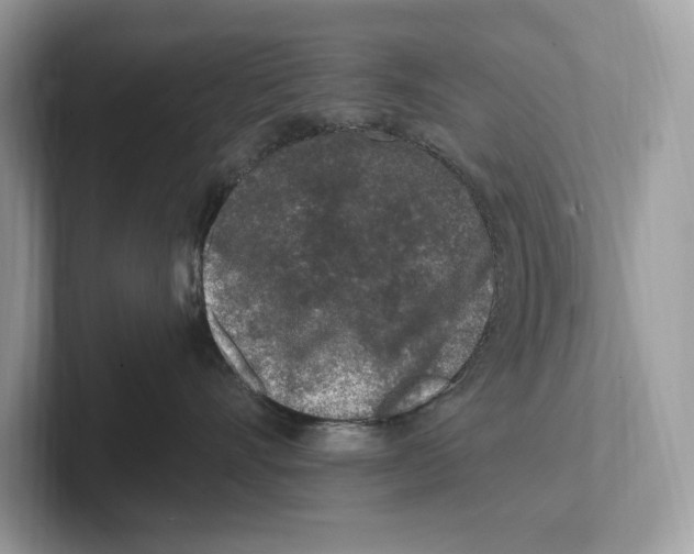 X0000100910528200807220953