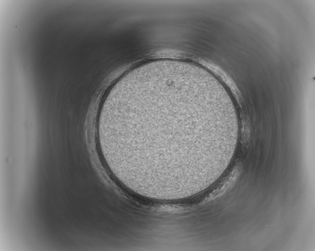 X0000100910529200807220952