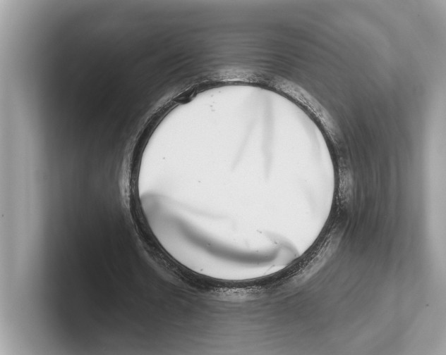 X0000100910530200807220952