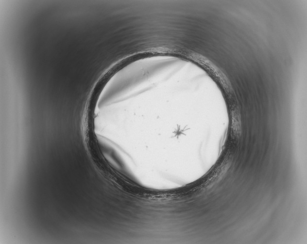 X0000100910532200807220952