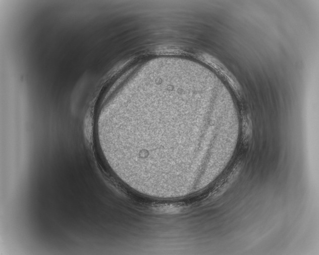 X0000100910533200807220952