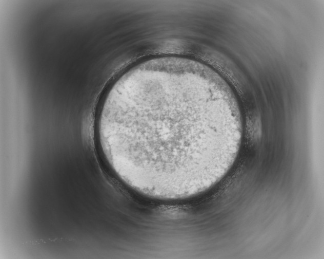 X0000100910534200807220952