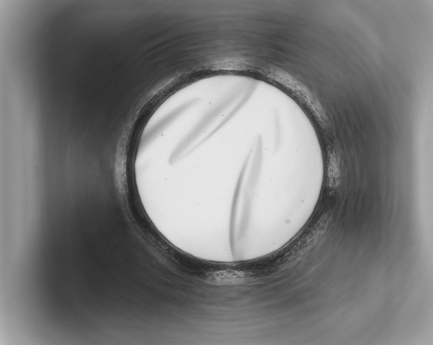 X0000100910535200807220952