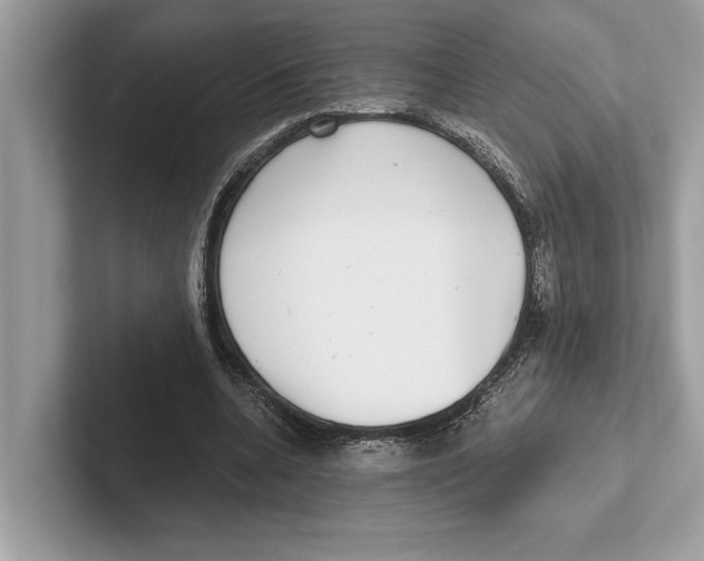 X0000100910536200807220952