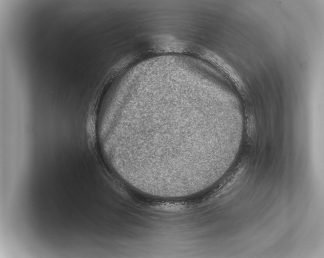 X0000100910537200807220952