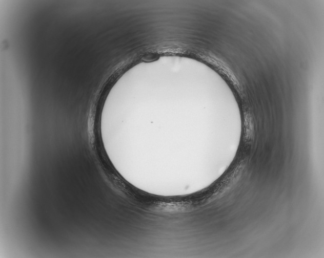 X0000100910538200807220952