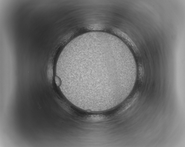 X0000100910541200807220952