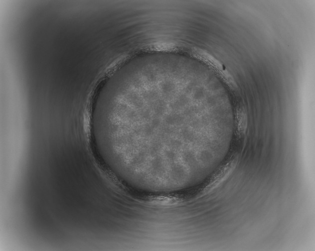 X0000100910542200807220952