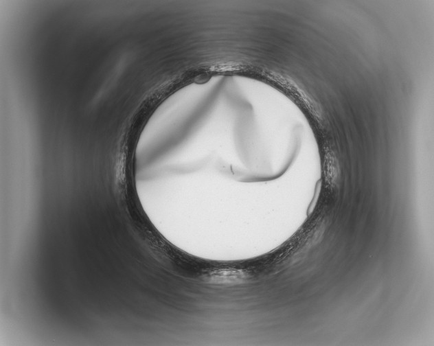 X0000100910543200807220953