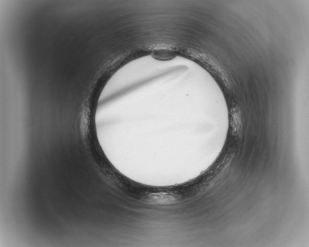 X0000100910544200807220953