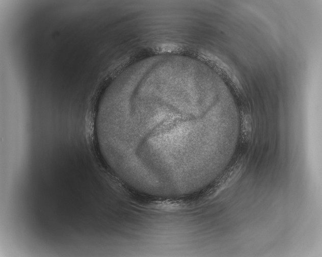 X0000100910545200807220953