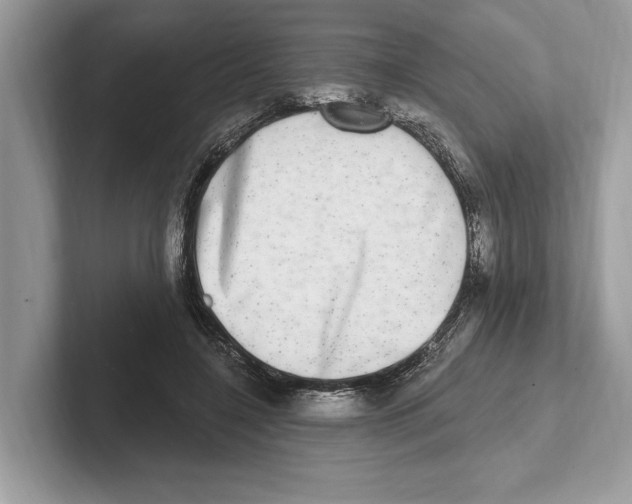 X0000100910548200807220953