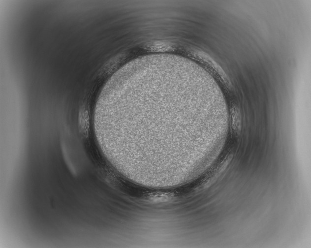 X0000100910549200807220953