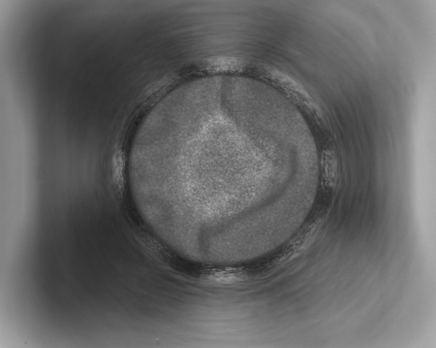 X0000100910550200807220953