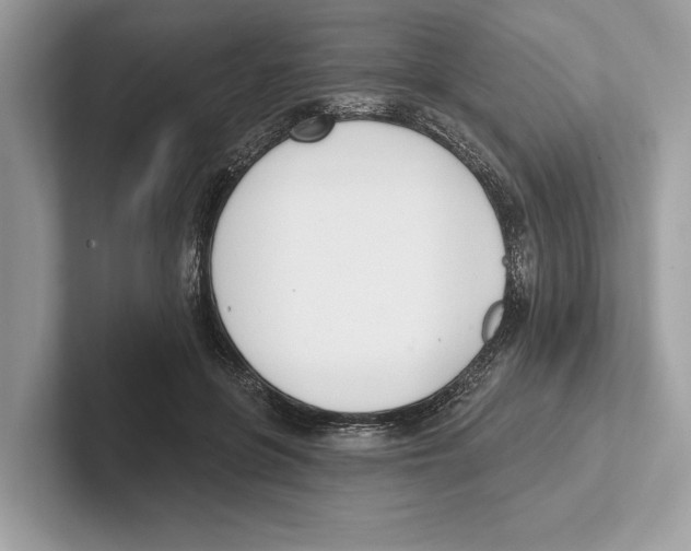 X0000100910551200807220953