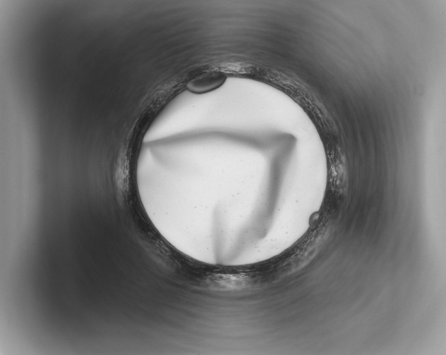 X0000100910552200807220953