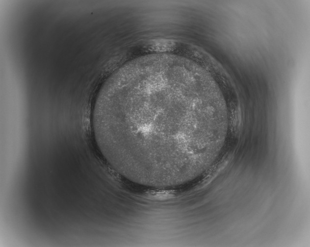 X0000100910553200807220953