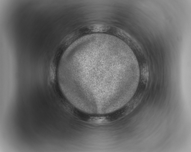 X0000100910554200807220953