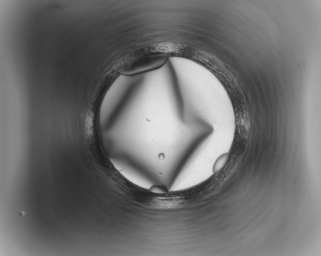 X0000100910556200807220953