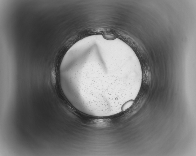 X0000100910558200807220953