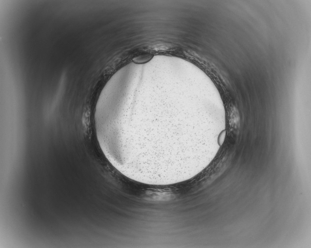 X0000100910559200807220953