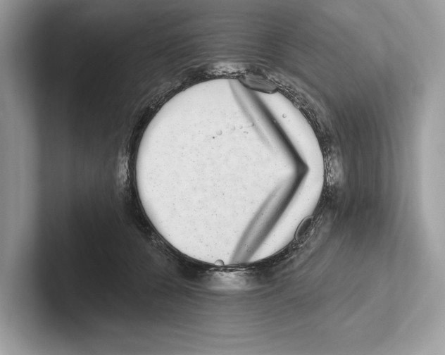 X0000100910560200807220953