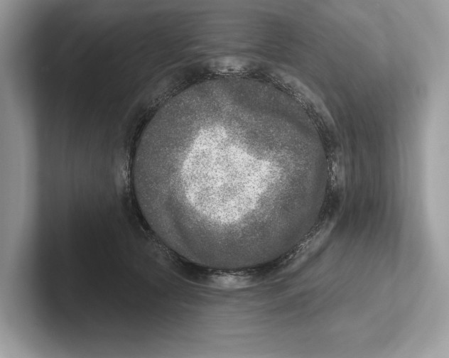 X0000100910561200807220953