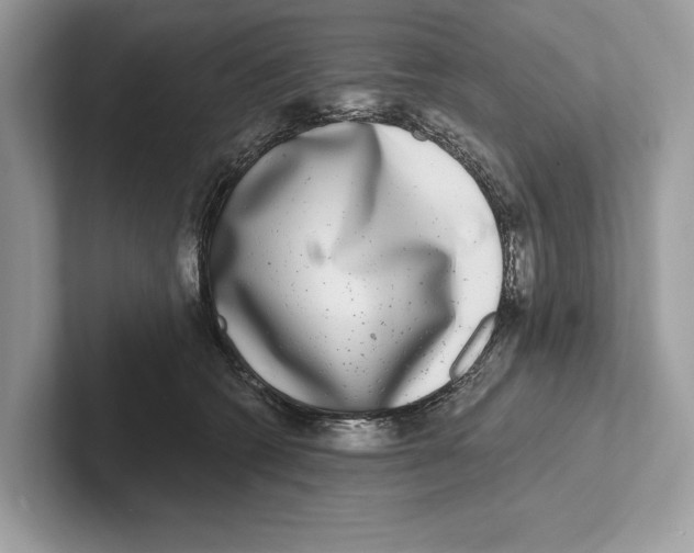 X0000100910562200807220953