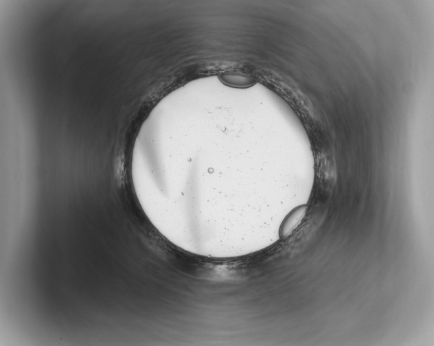 X0000100910564200807220953