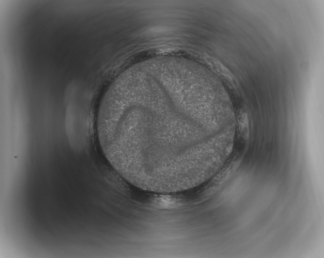 X0000100910565200807220953