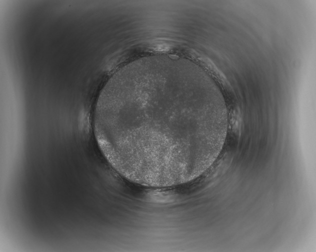 X0000100910568200807220953