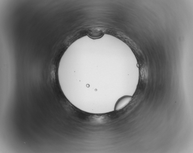 X0000100910570200807220953