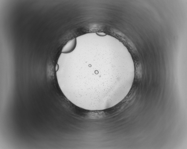 X0000100910571200807220953