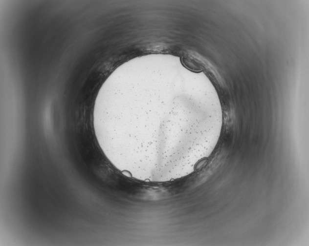 X0000100910572200807220953